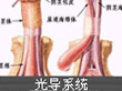 男性尿道炎是怎么回事,是怎么引起的啊